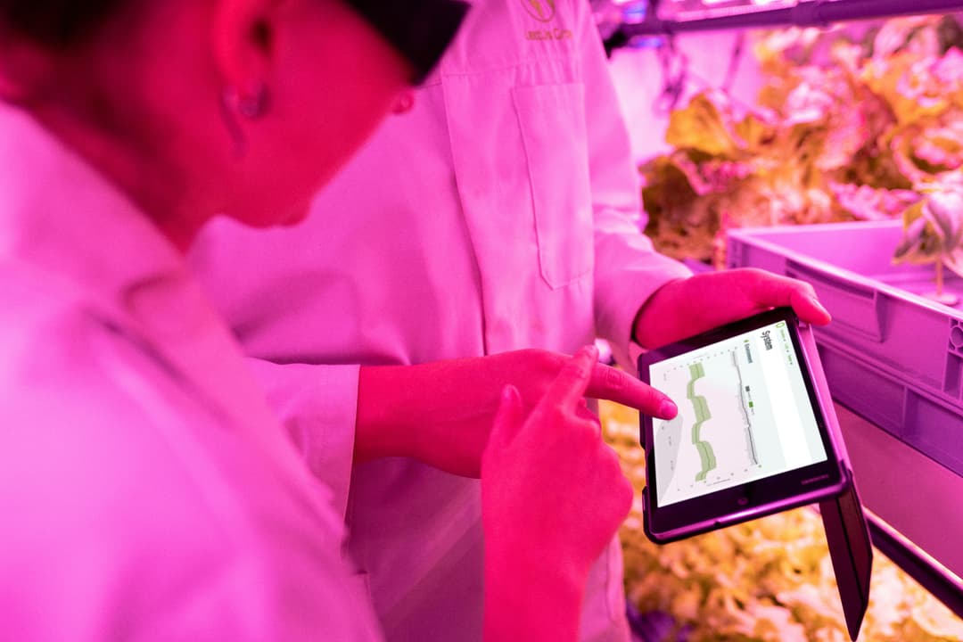 Cum se face actualizarea datelor în Registrul Agricol
