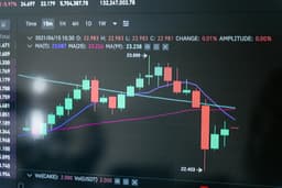Cum declari veniturile din freelancing și platforme digitale